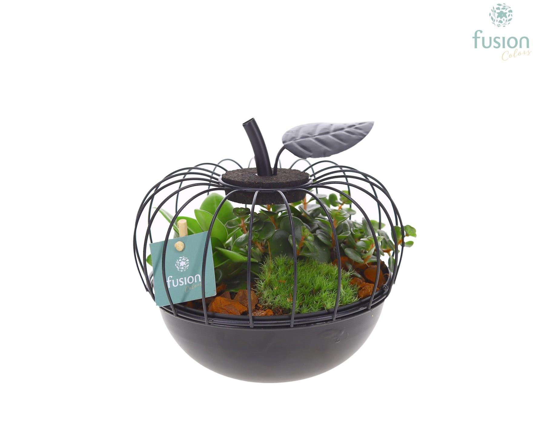 Metaal appel zwart Small met groene planten 15cm 17cm Pot