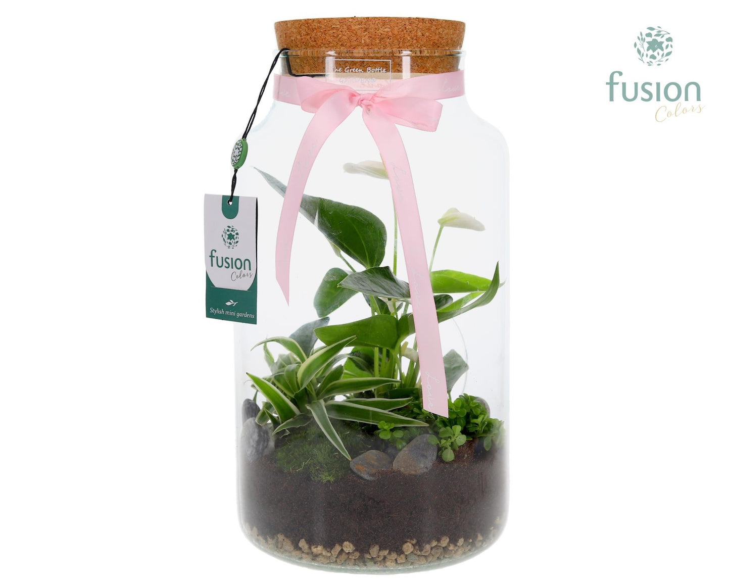 Green Bottle Pot Large Anthurium arrangement 35cm 19cm Pot