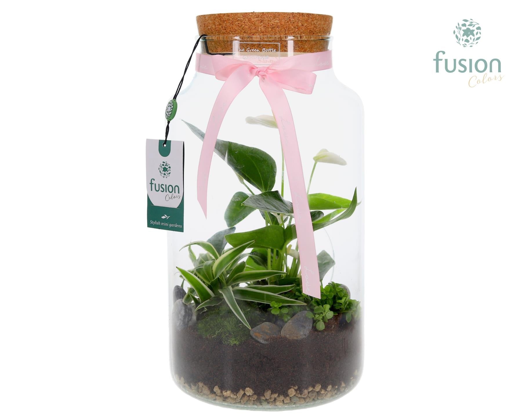 Green Bottle Pot Large Anthurium arrangement 35cm 19cm Pot