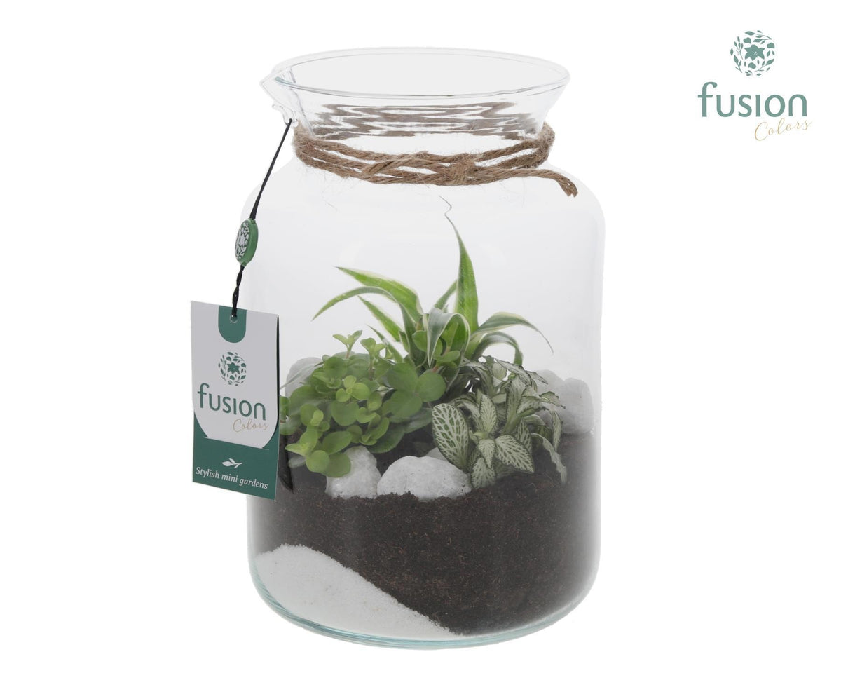 Glas Melkbus met minituin arrangement 3pp 25cm 17cm Pot