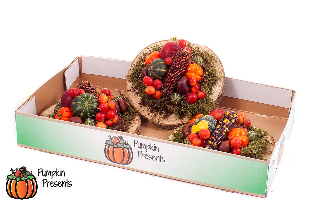 Cucurbita 17cm 998cm Pot