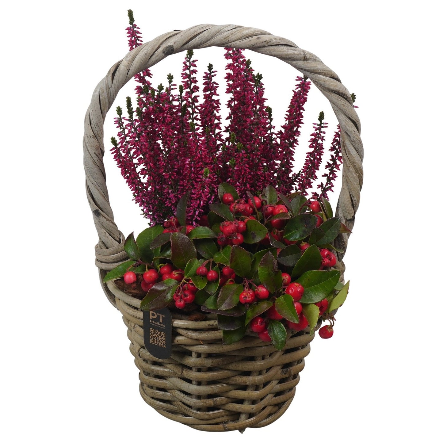 Outdoor arrangement 32cm 16cm Pot