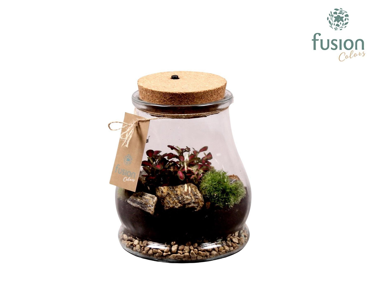 Glas Druppel Terraruim met kurk incl. LED verlichting 20cm 15cm Pot