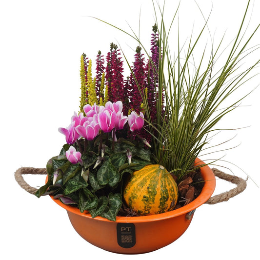 Outdoor arrangement 43cm 24cm Pot