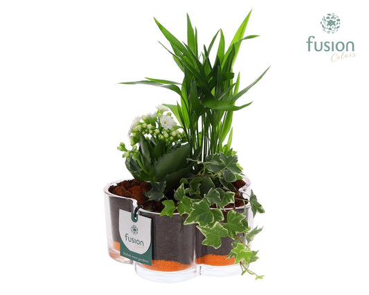 Glas Bloemschaalmet arrangement 3pp 25cm 18cm Pot