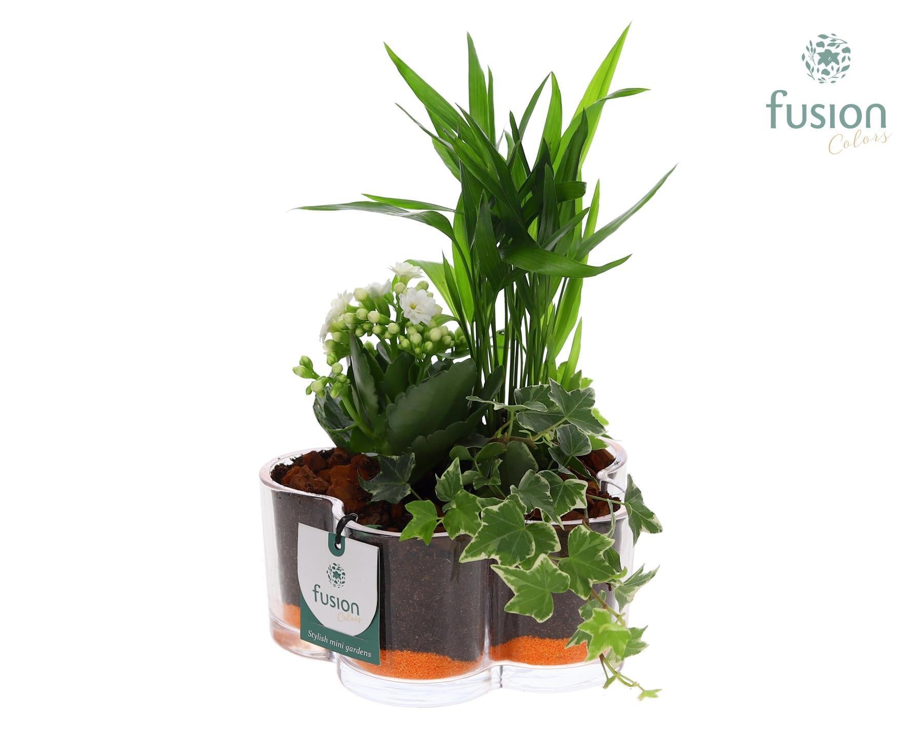 Glas Bloemschaalmet arrangement 3pp 25cm 18cm Pot