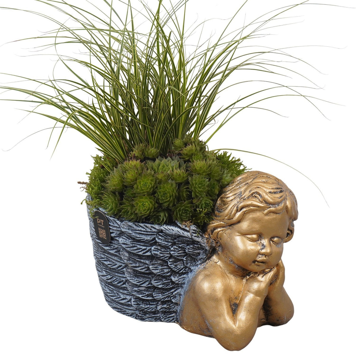 arr. all saints day 29cm 19cm Pot