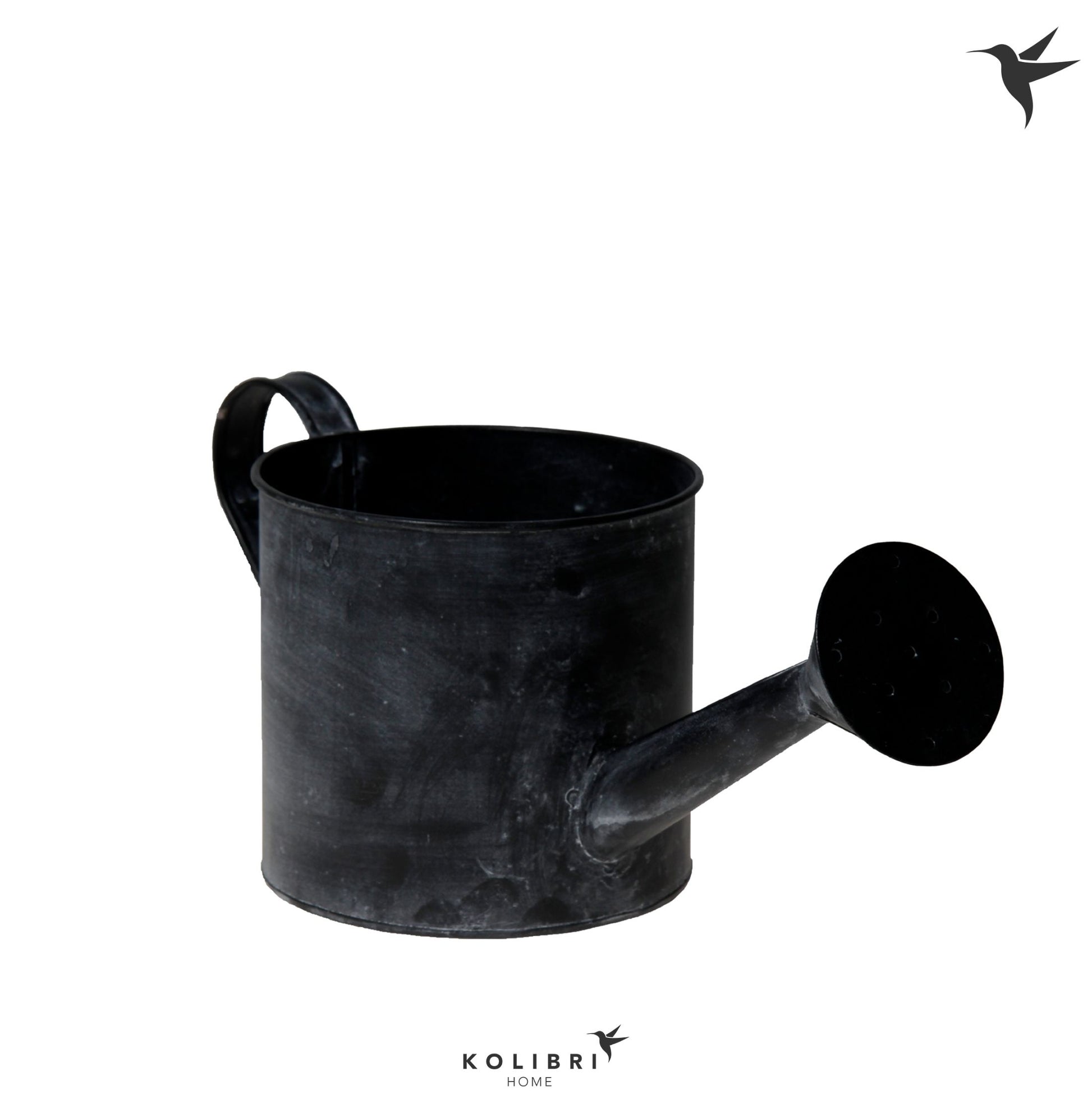 OK Plant Kolibri Home Watering Can Pack of 6