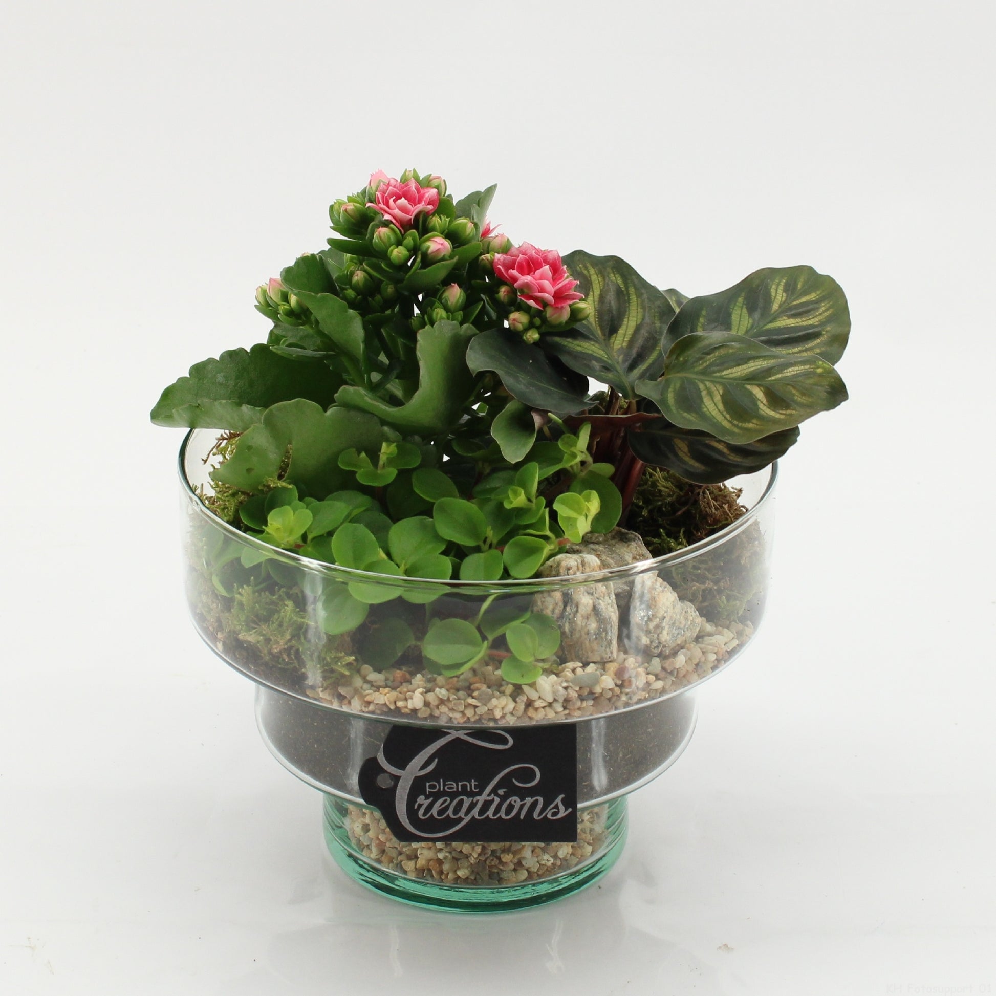 ESCR-2627RZ Essentials 20cm 17cm Pot