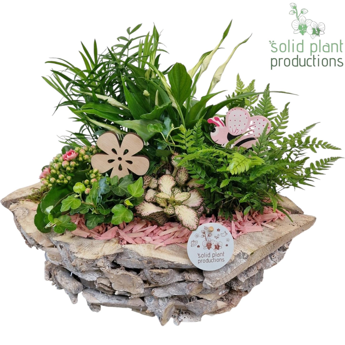SC012 Driftwood Boat White Washed Pink 45cm 43cm Pot