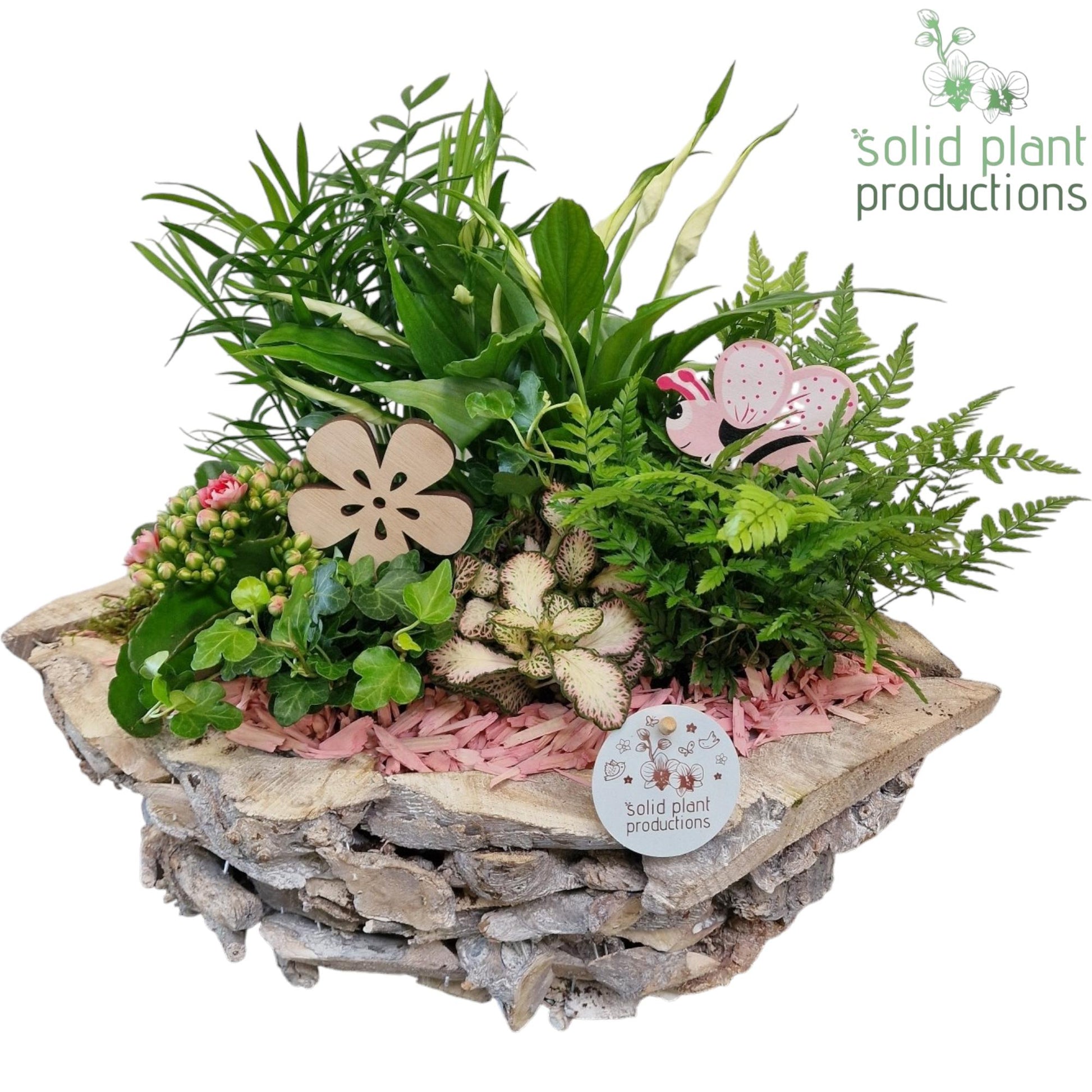 SC012 Driftwood Boat White Washed Pink 45cm 43cm Pot