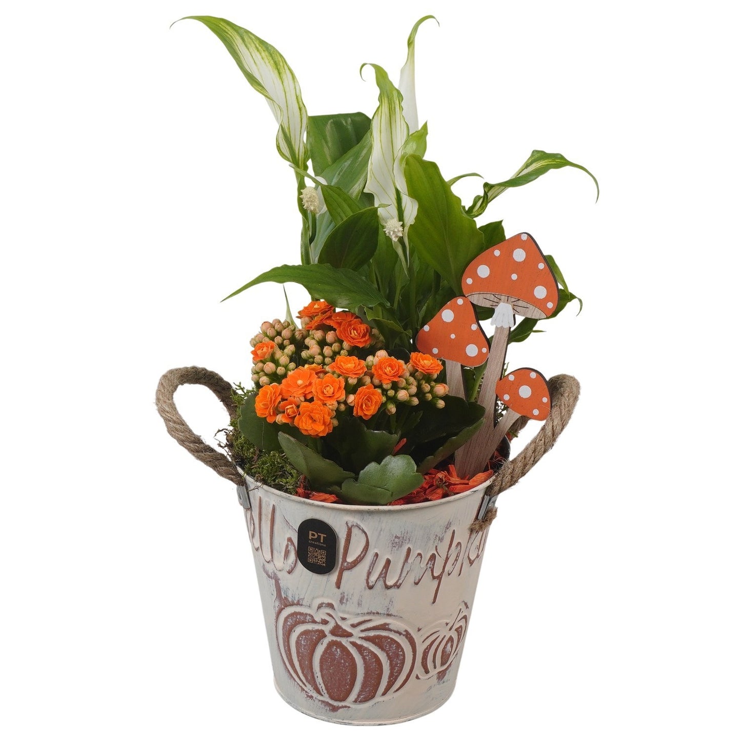 Indoor arrangement 32cm 13cm Pot
