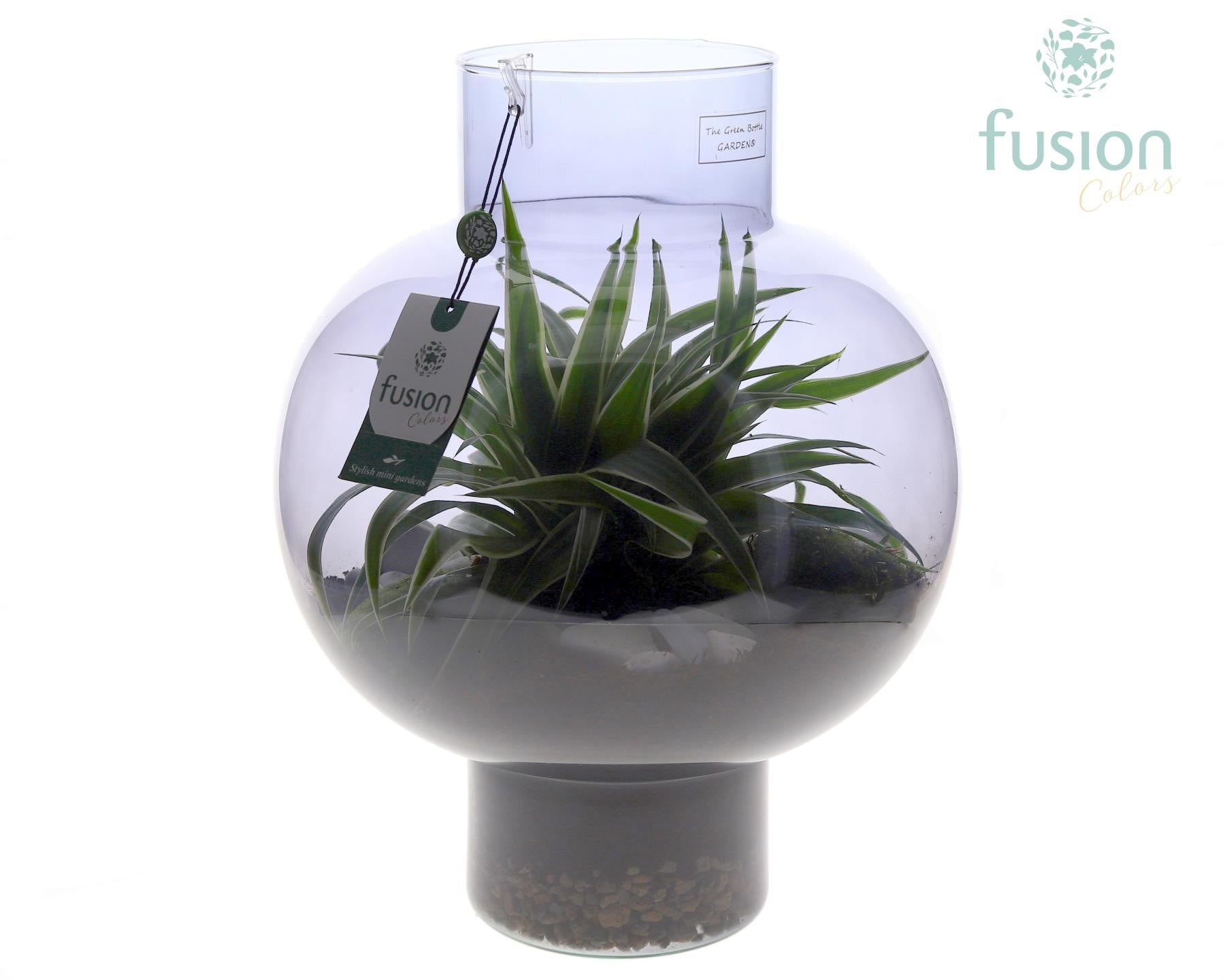 Fusioncolors BV Green Bottle Laura Large Smoky glas met Chlorophytum Pack of 1