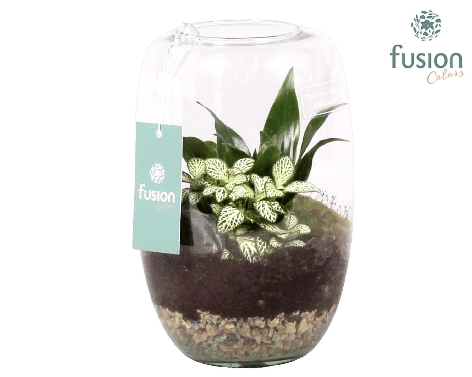 Green Bottle Isabella Medium met Groene Planten 25cm 15cm Pot