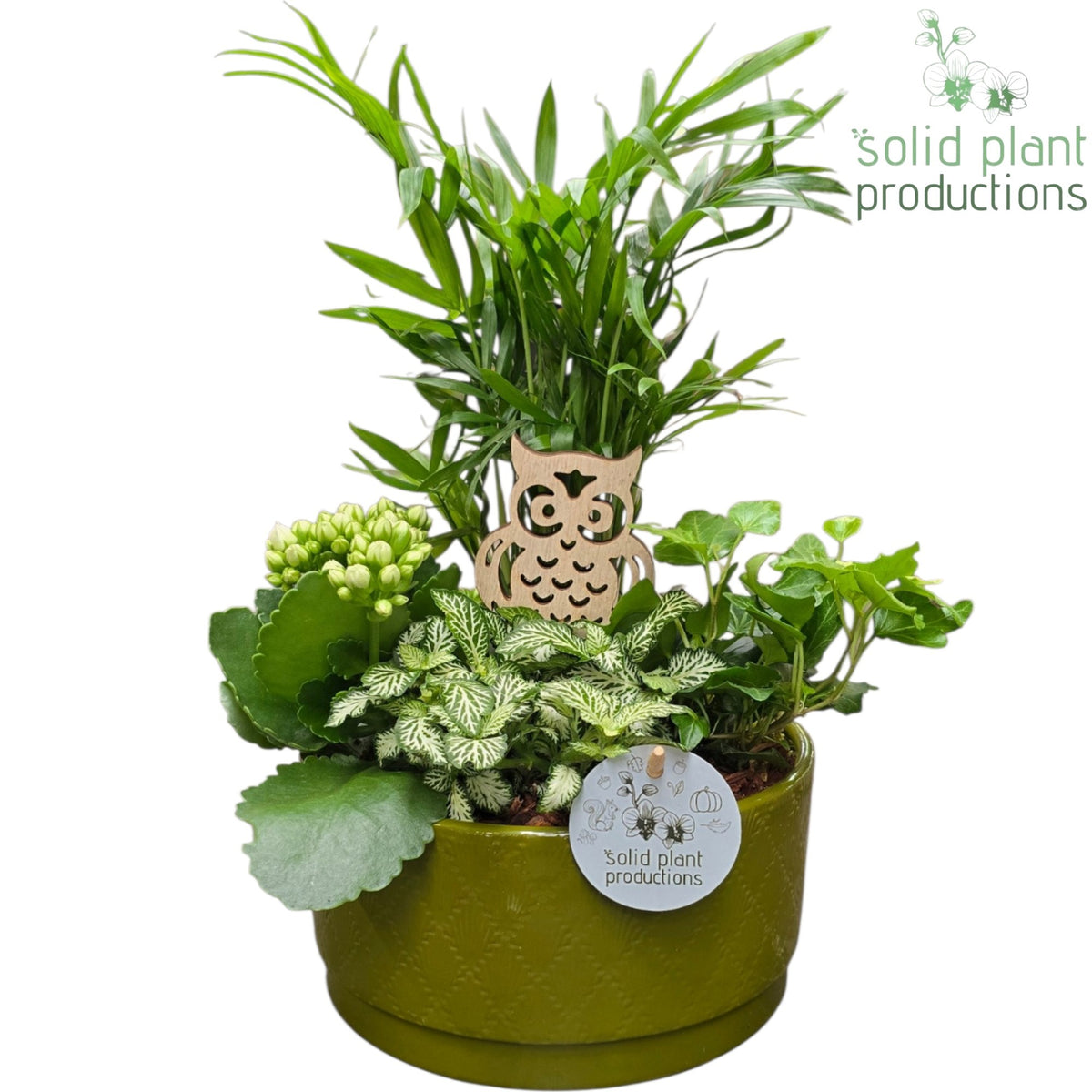 CH003 Loes Green White 38cm 18cm Pot