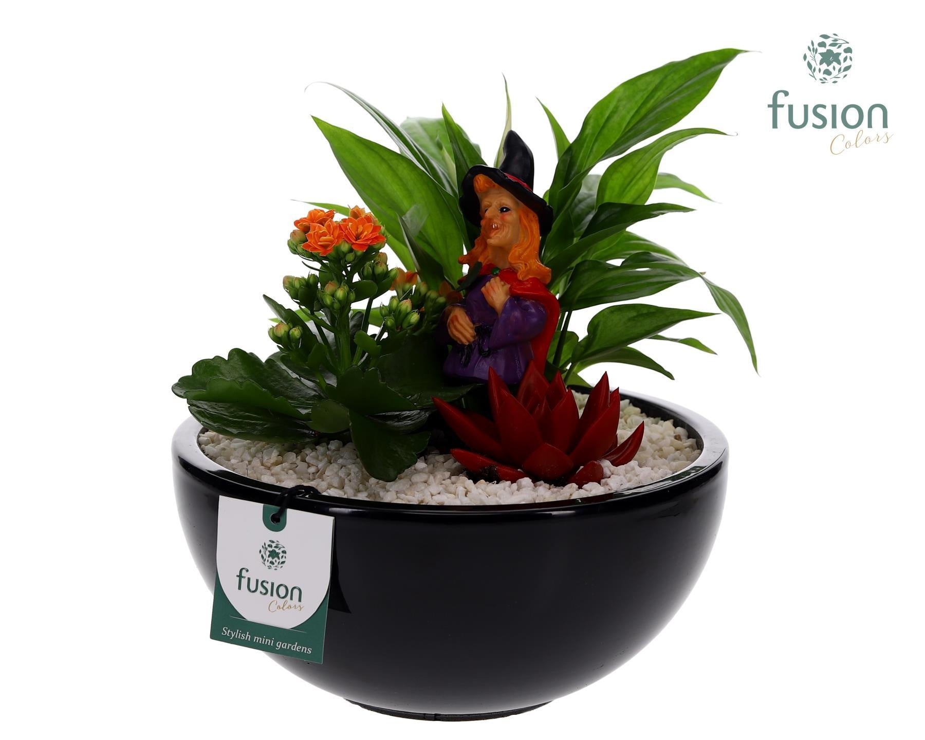 keramiek moonschaal rond zwart D23 Halloween 35cm 23cm Pot