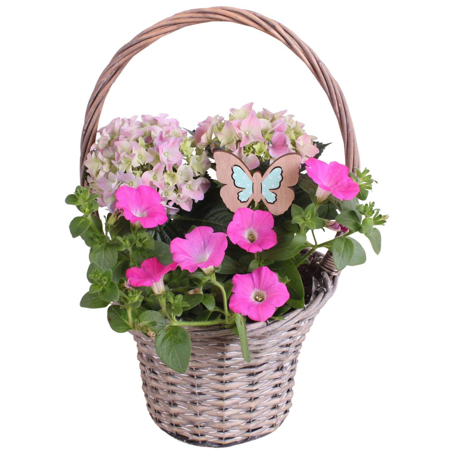 Outdoor arrangement 25cm 24cm Pot