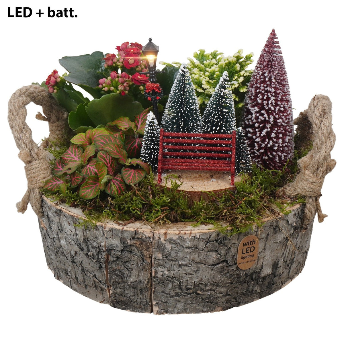 Christmas arrangement 21cm 24cm Pot