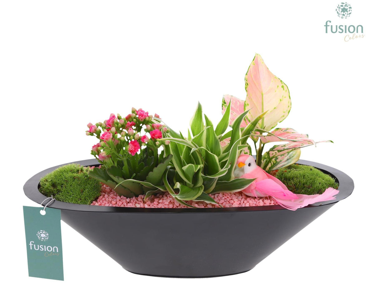 Zinken schaal antraciet met Arrangement 25cm 36cm Pot