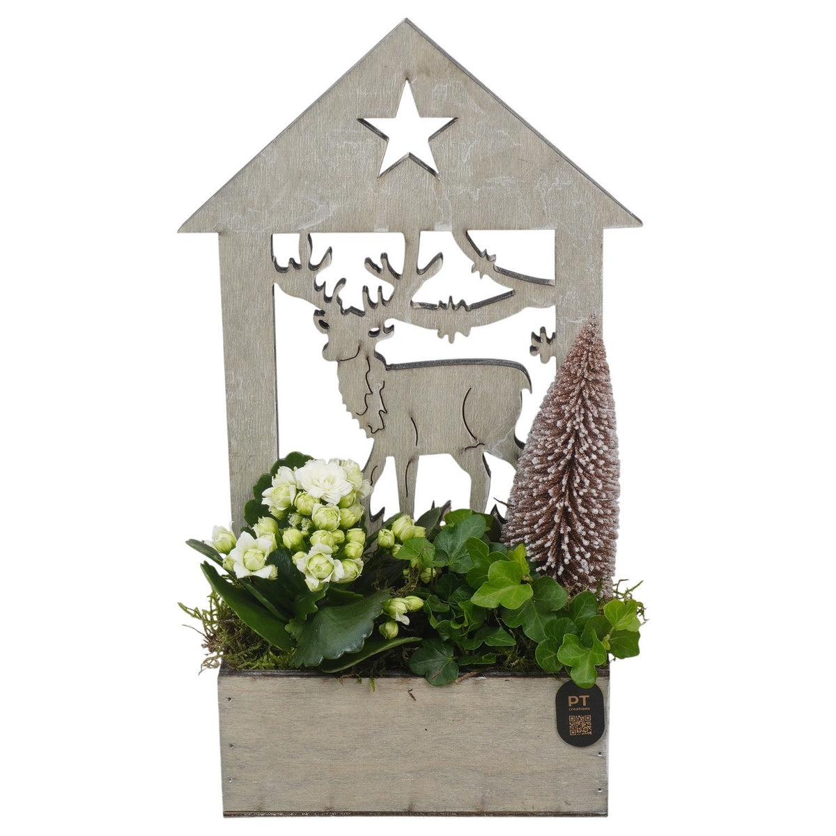 Christmas arrangement 31cm 16cm Pot