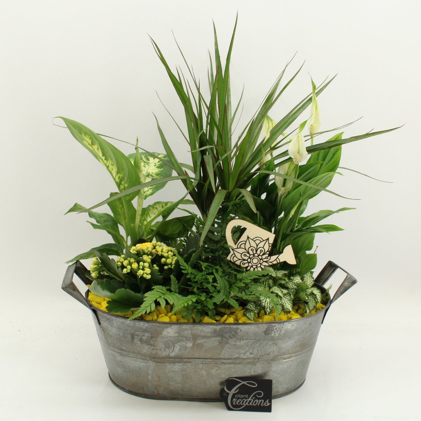 FDCR-2616G Basic Fundamentals 50cm 32cm Pot