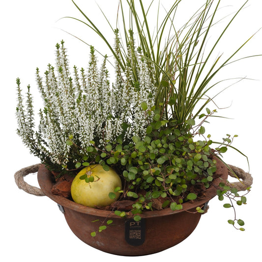 Outdoor arrangement 42cm 24cm Pot