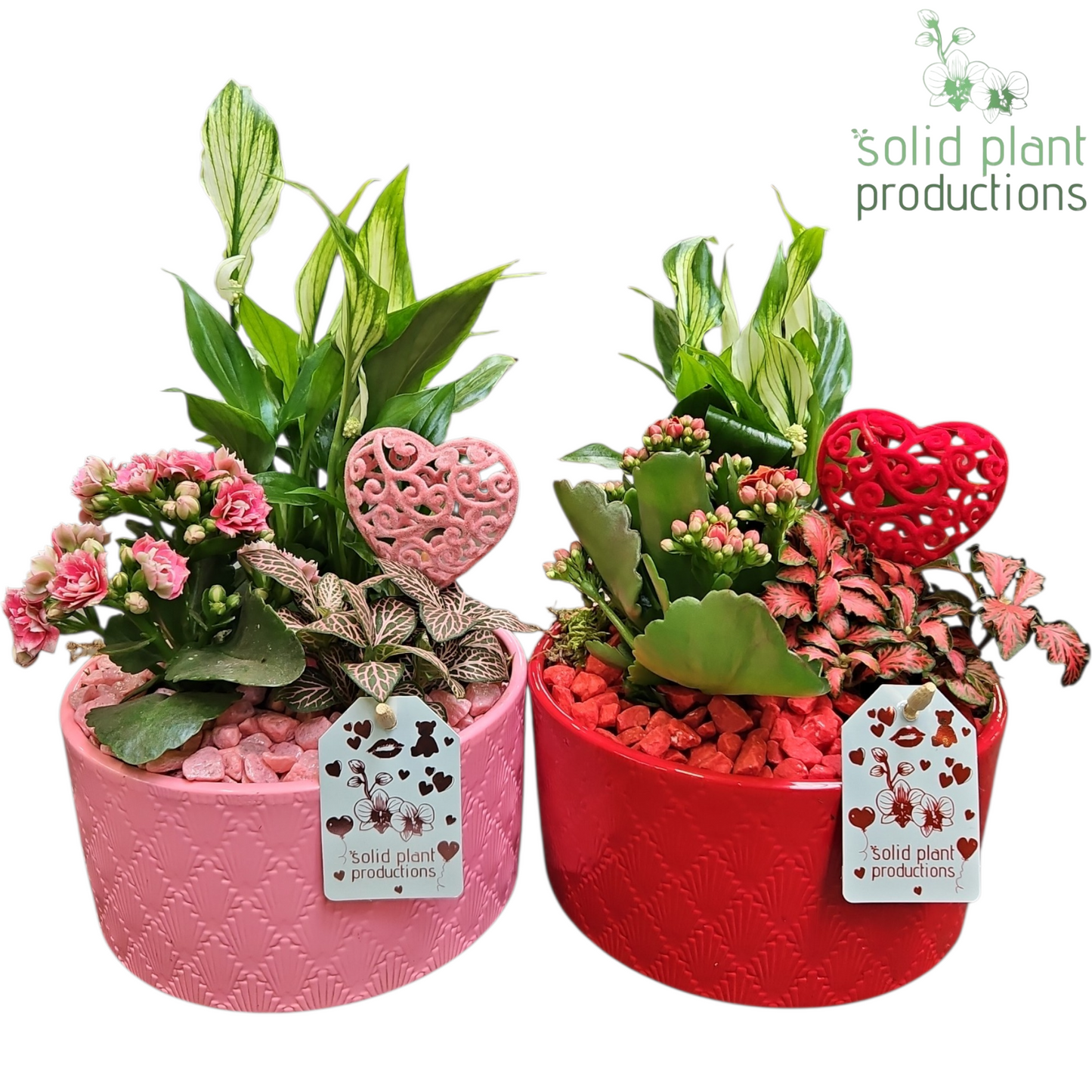 SP002 Eva Mix VM 35cm 15cm Pot