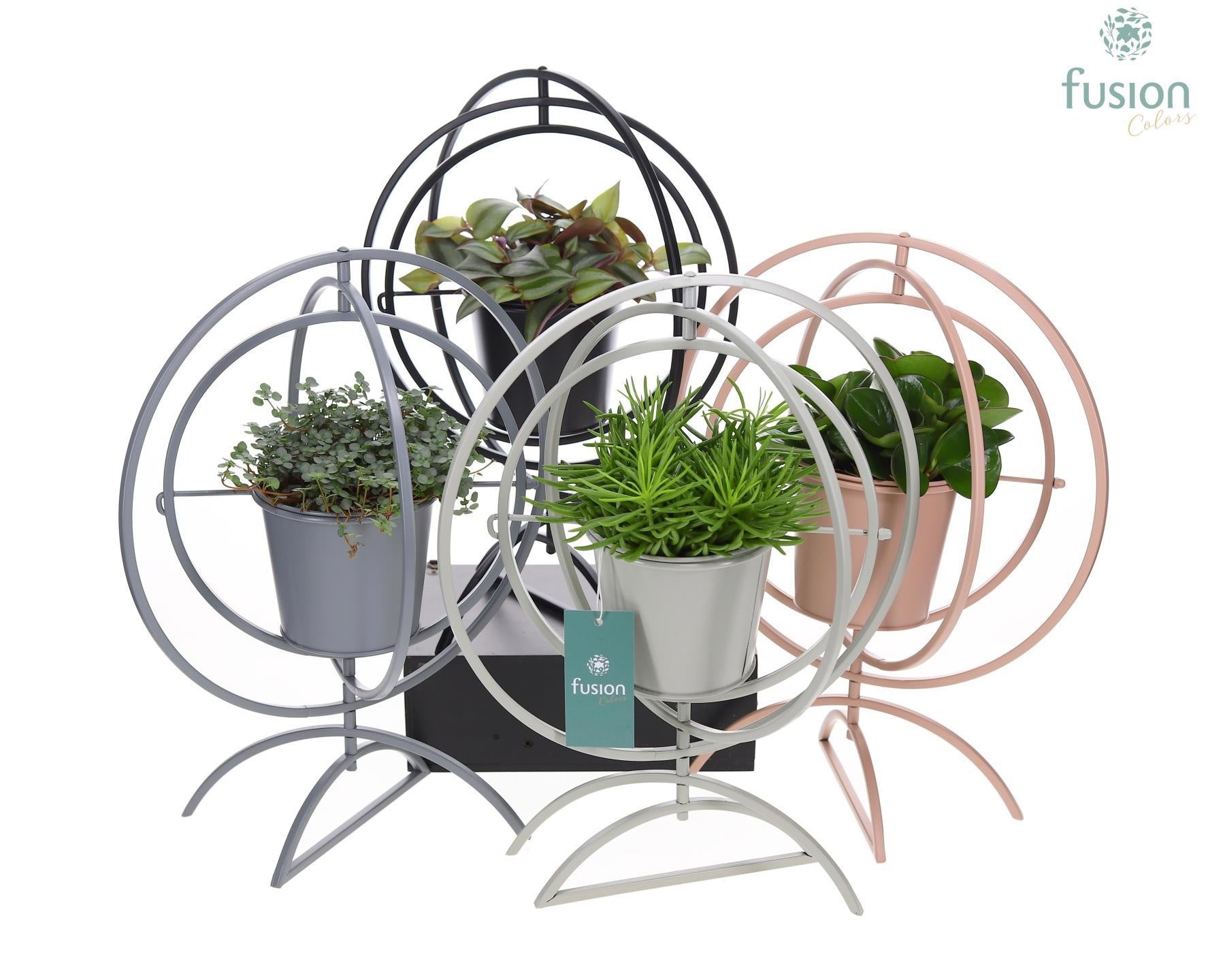 Globe metaal 4 kleuren Large met groene planten 43cm 30cm Pot