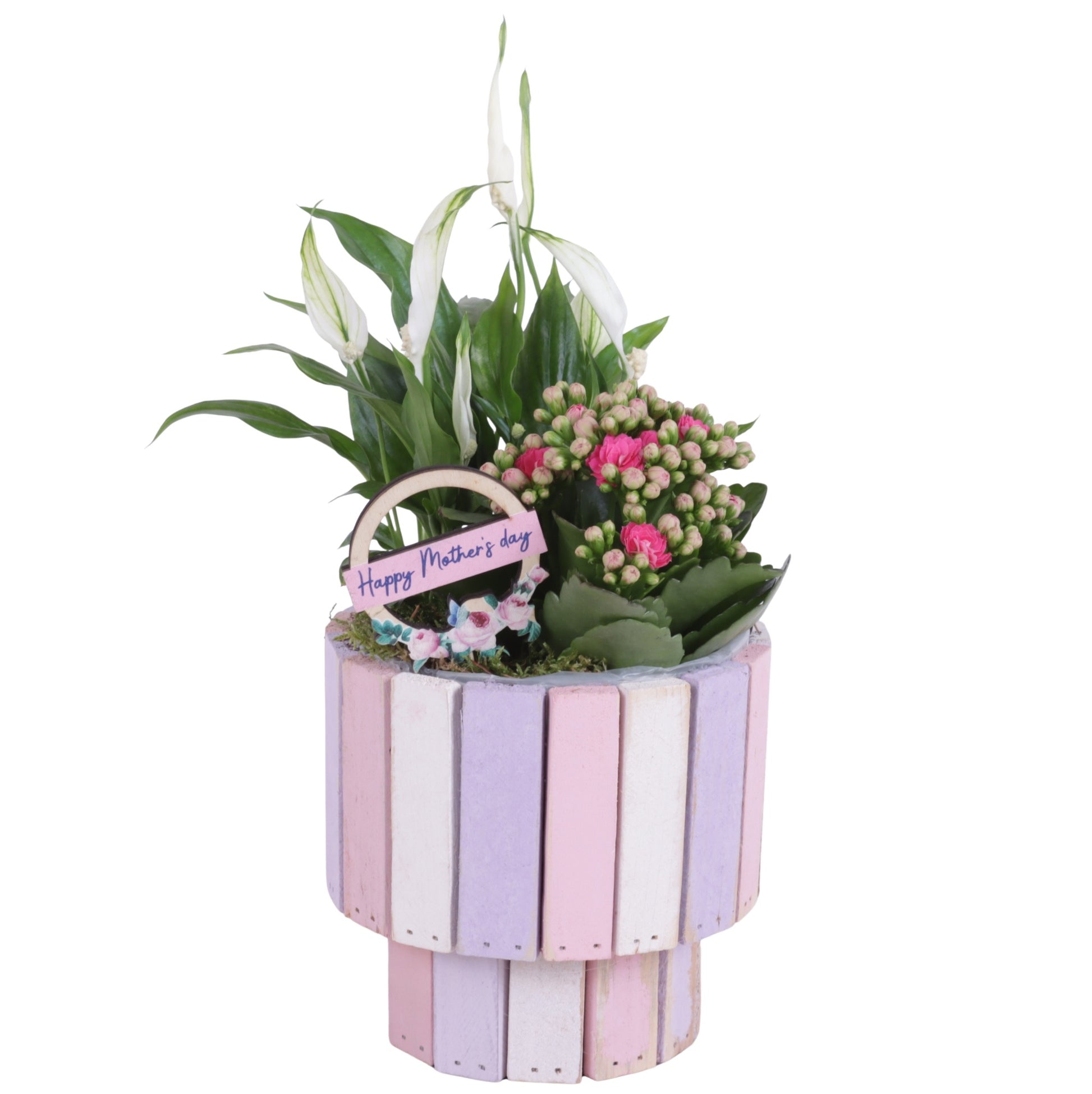 Indoor arrangement 35cm 15cm Pot