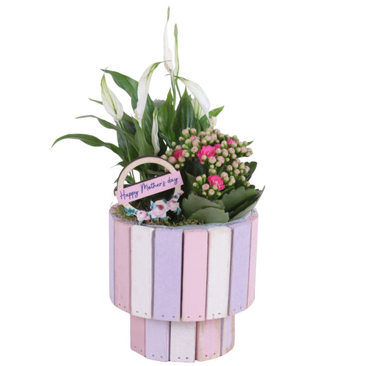 Indoor arrangement 35cm 15cm Pot