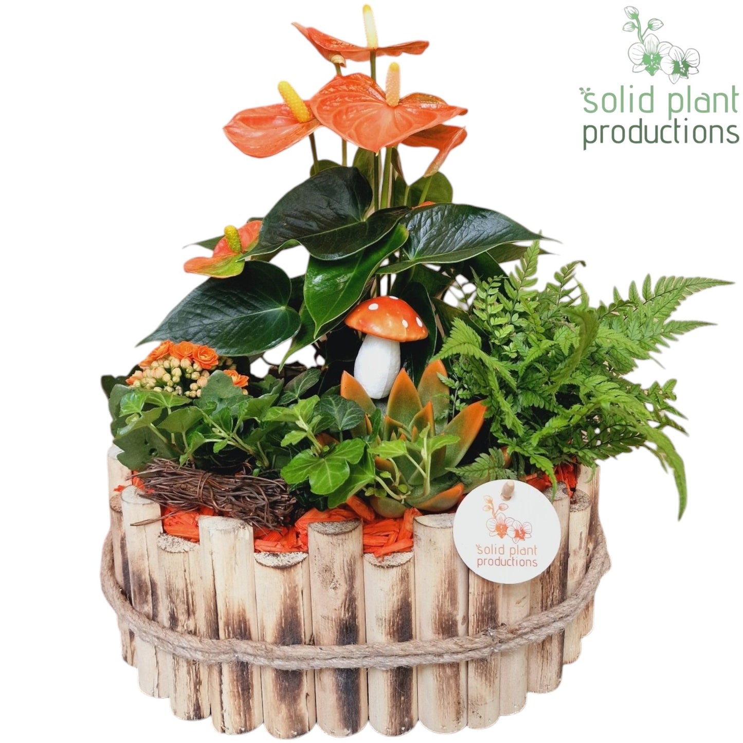 HAE007 Bologna Large Autumn Orange 40cm 30cm Pot