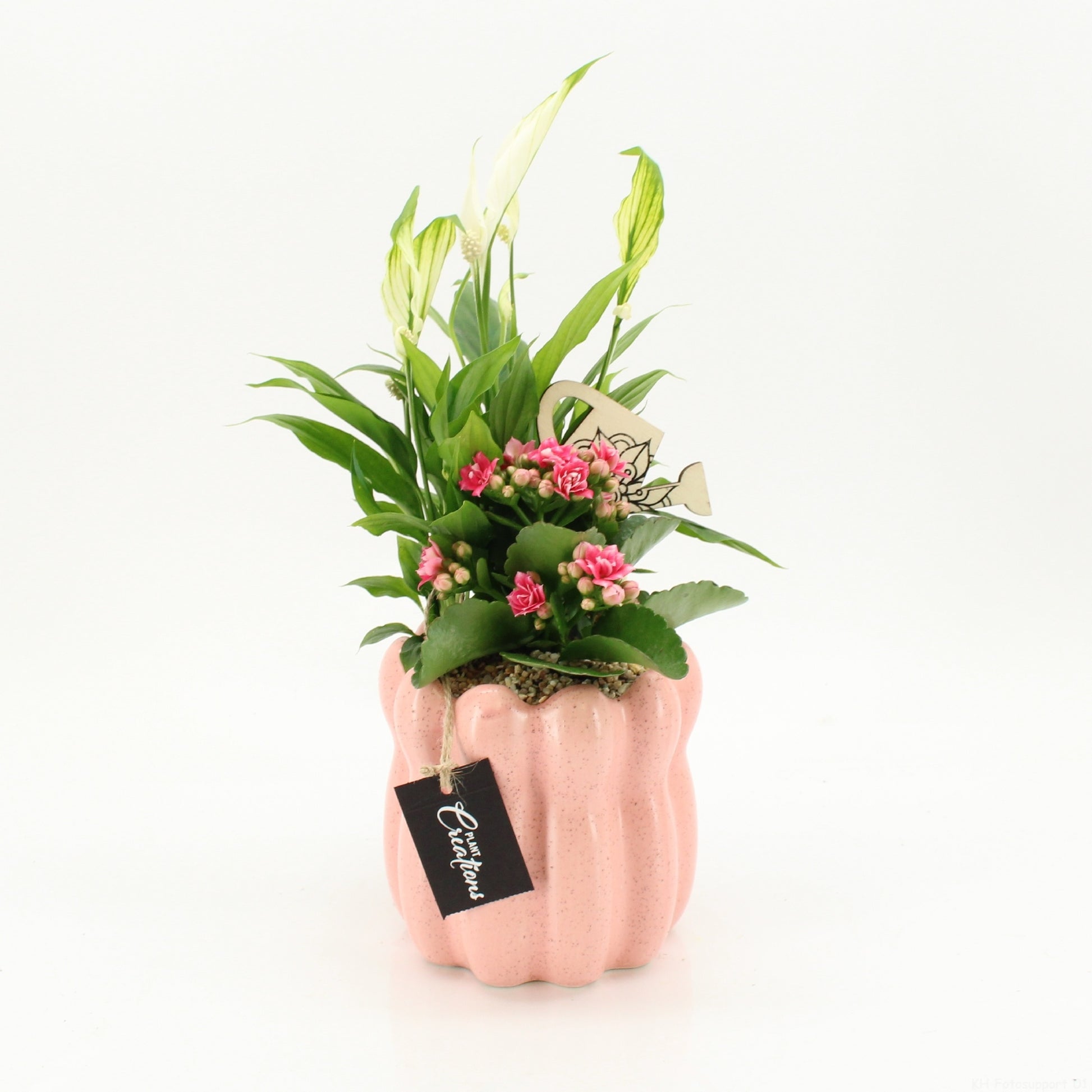 ESCR-2613RZ Essentials 35cm 14cm Pot