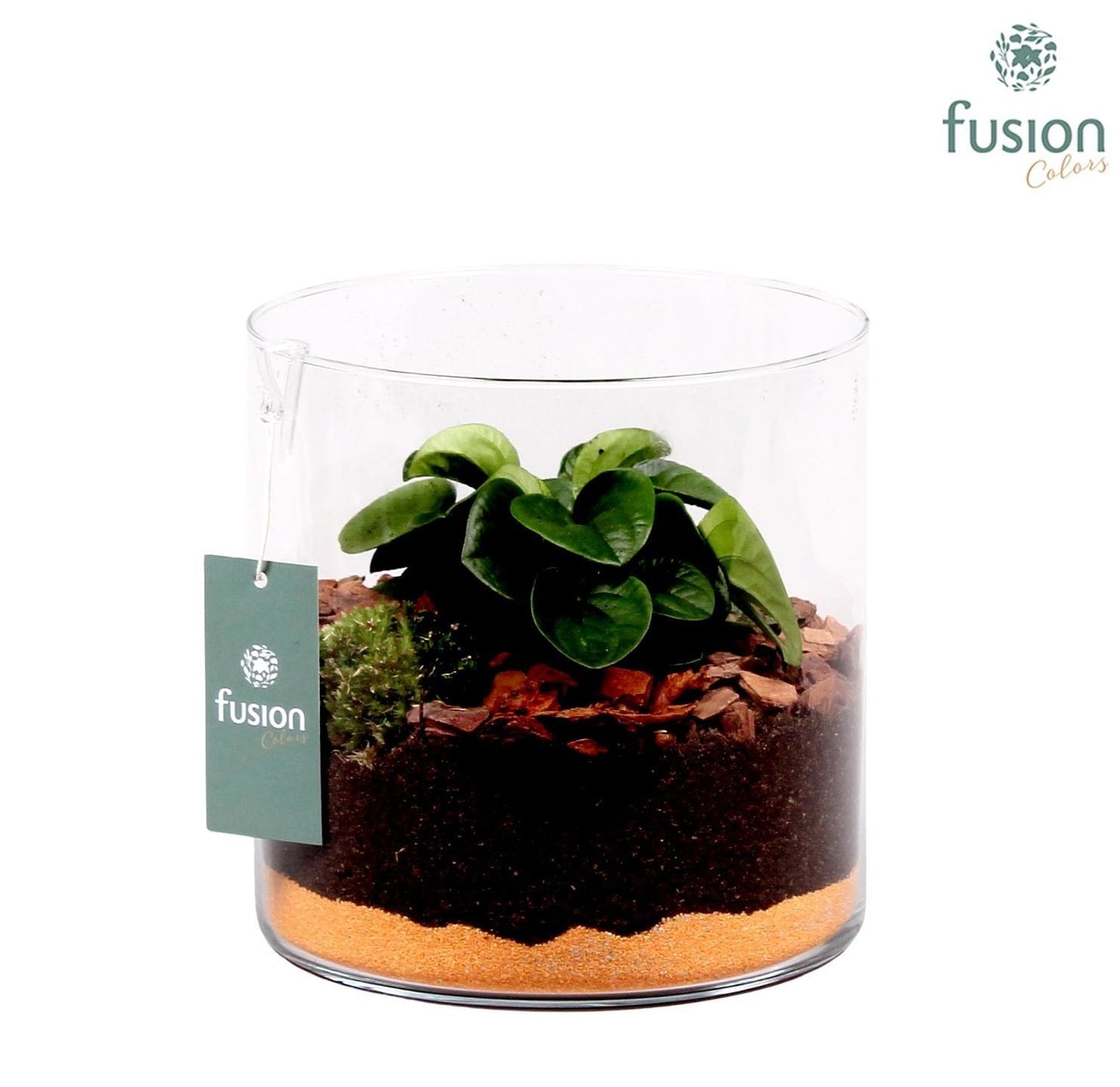 Glazen cilinder Lucille 20cm 19cm Pot