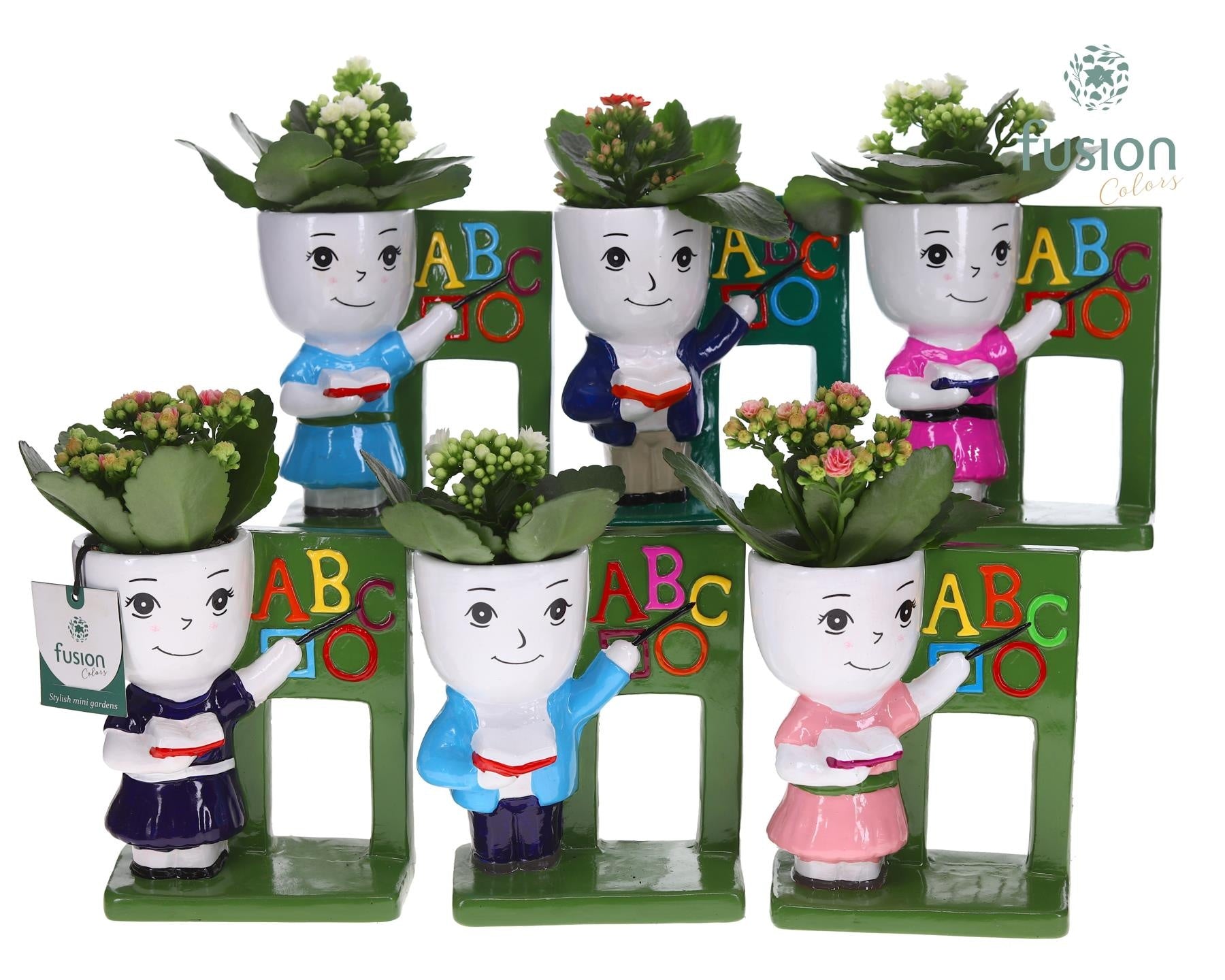 Fusioncolors BV Keramiek back to school met Kalanchoe Pack of 8