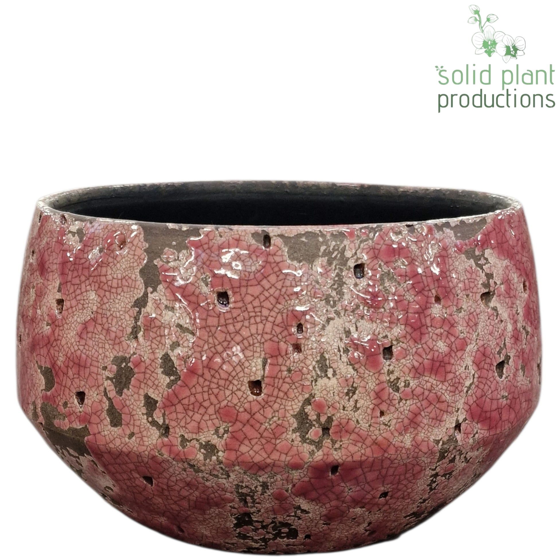 Solid Plant Productions C122 Aurora Hard Pink Mini Pack of 8