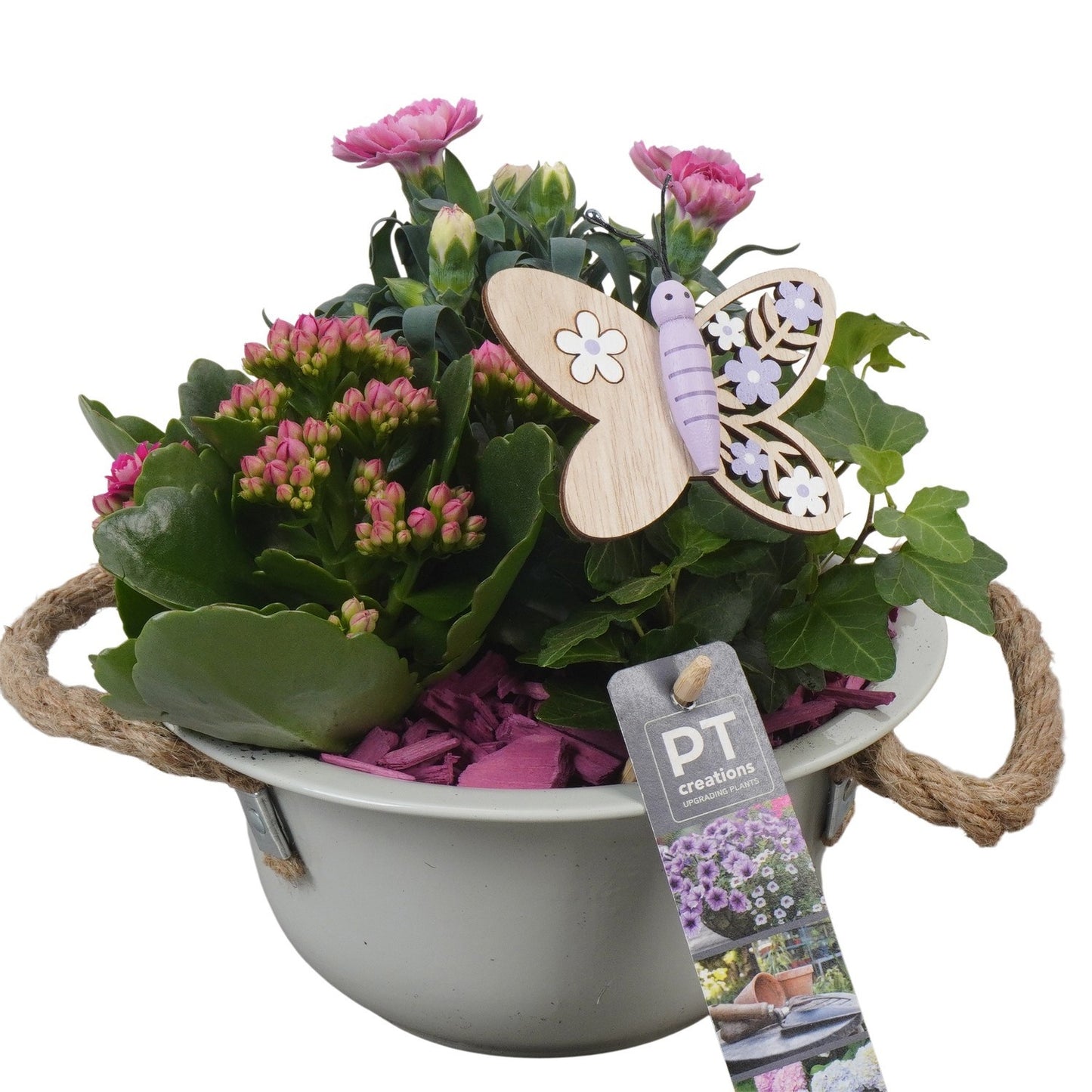 Outdoor arrangement 21cm 18cm Pot