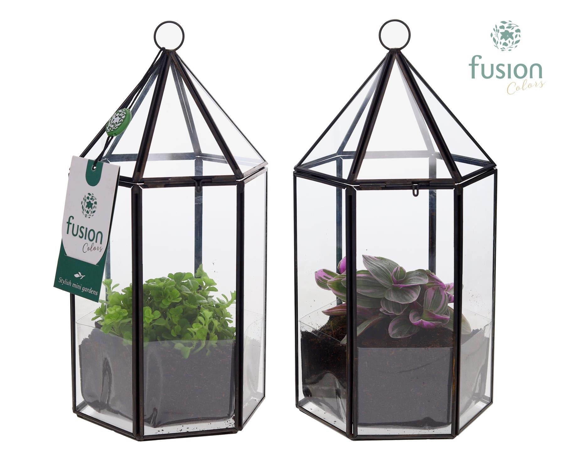 Fusioncolors BV Geometrisch Lantaarn met Groene planten Pack of 6