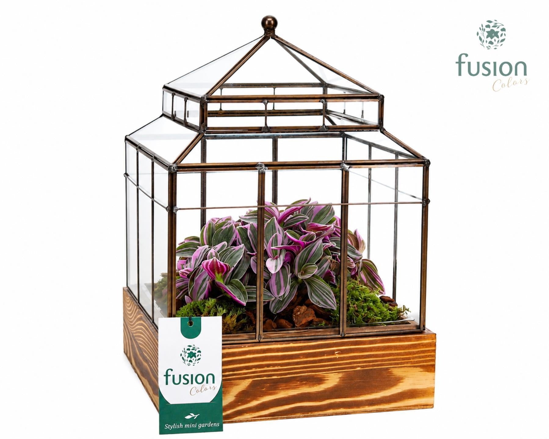 Geometrisch Huis Large op houten basis met groene plant 29cm 21cm Pot