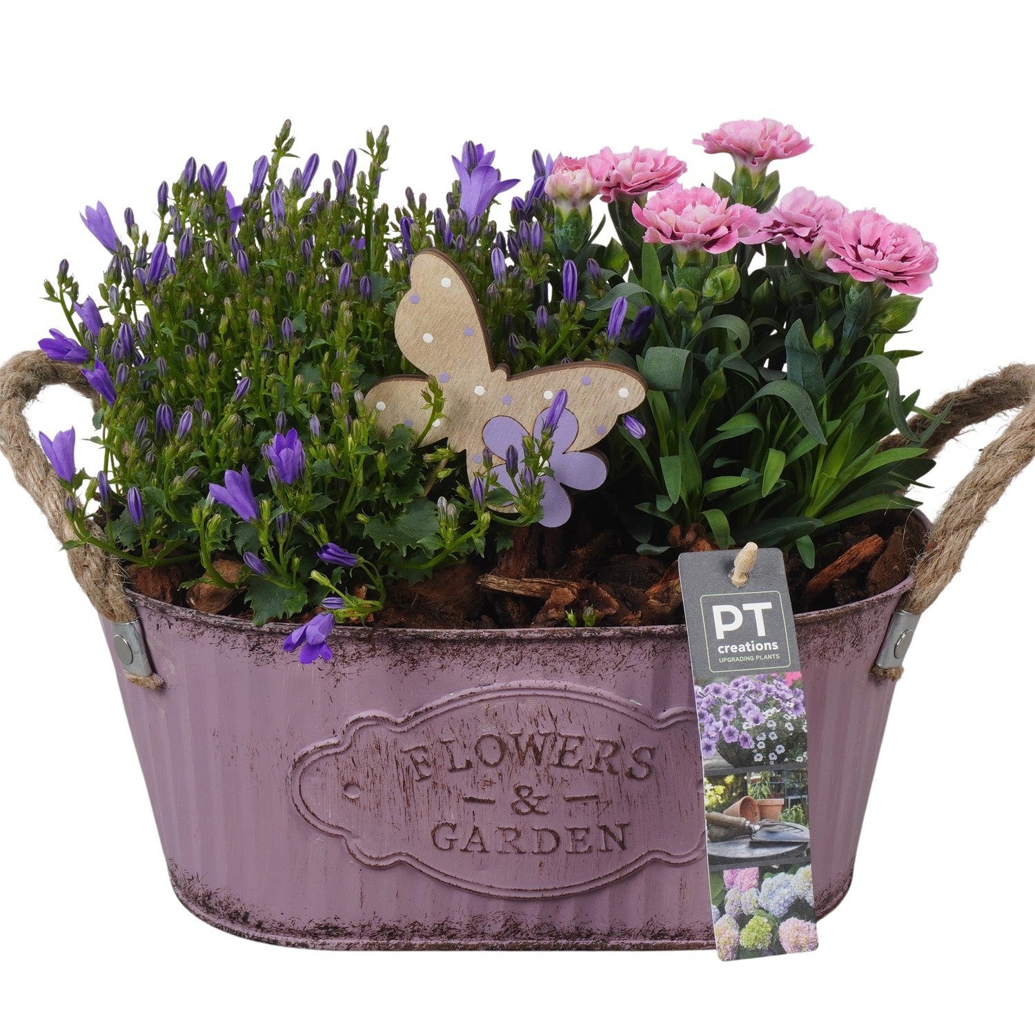 Outdoor arrangement 23cm 24cm Pot