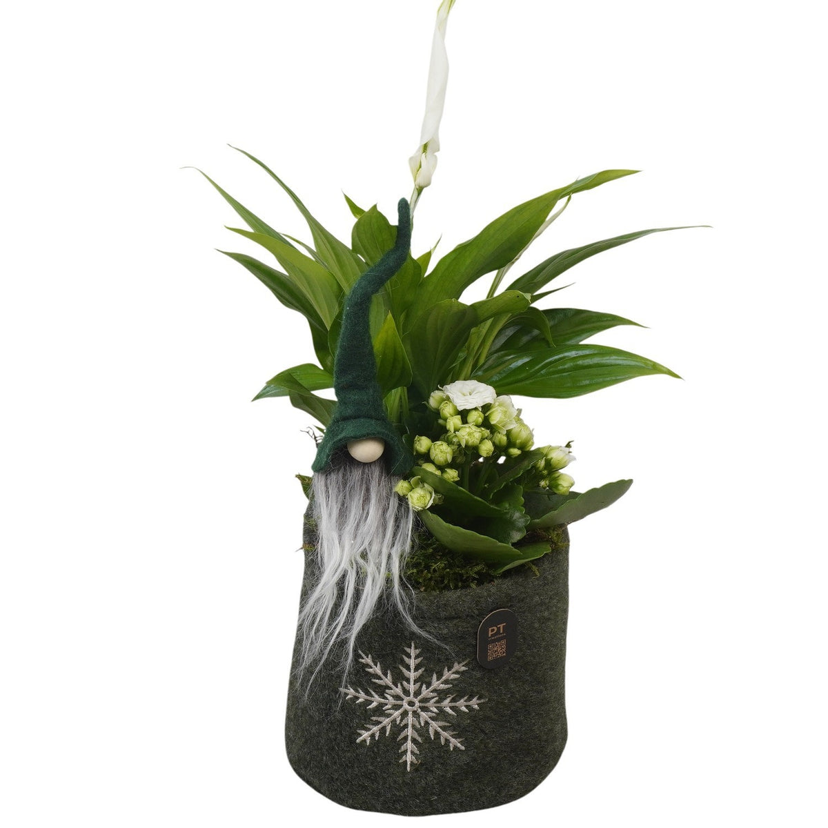 Christmas arrangement 35cm 13cm Pot