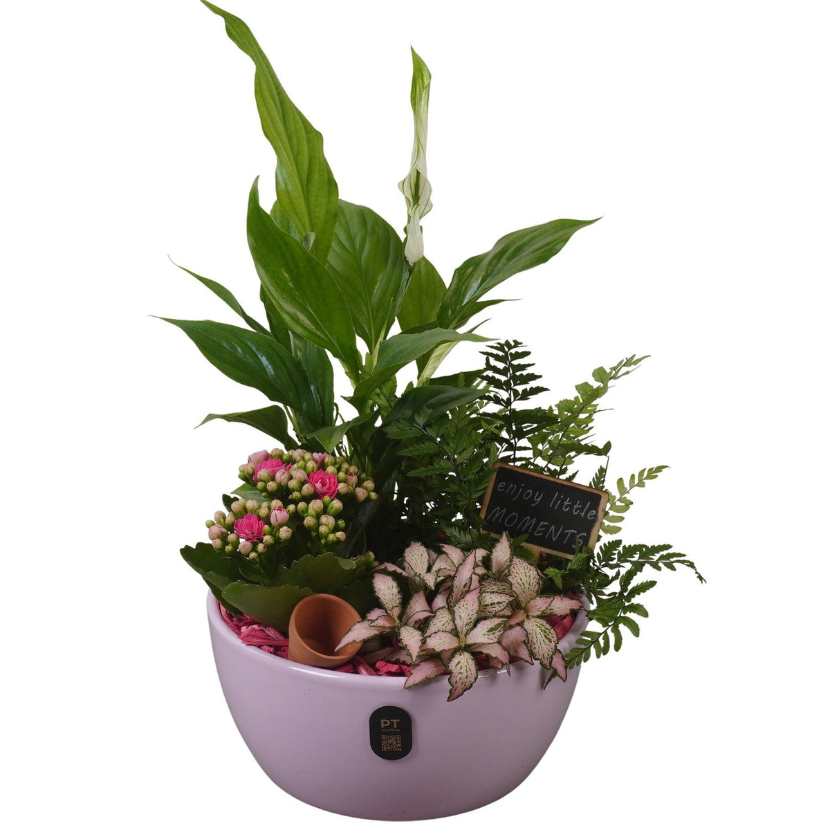 Indoor arrangement 36cm 18cm Pot