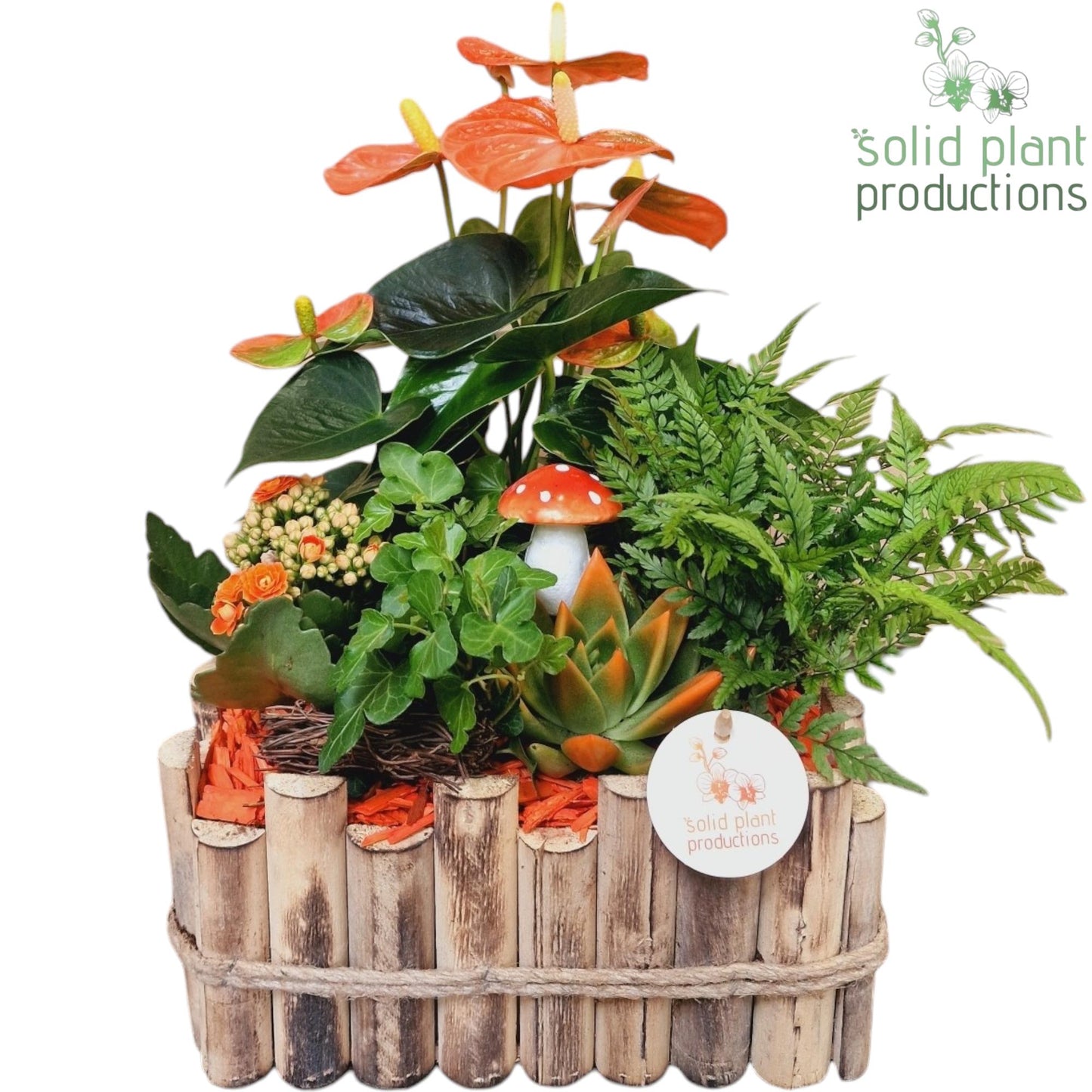 HAE008 Verona Large Autumn Orange 40cm 30cm Pot