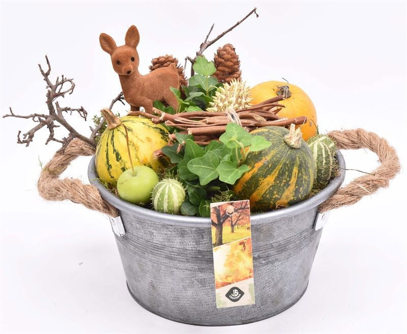 arr. Sierfruit 21cm Pot