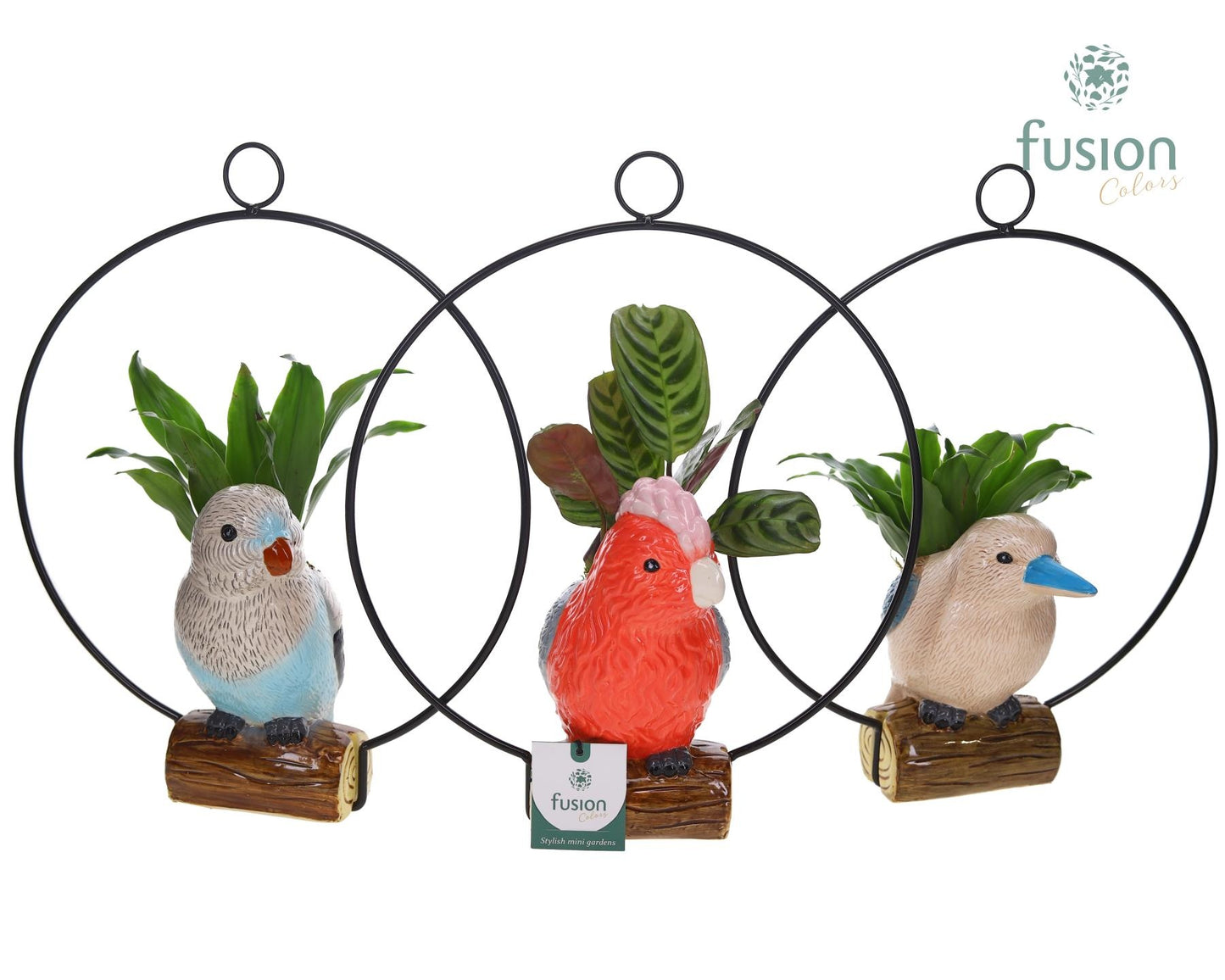 Keramiek vogels in de ring met Groenen planten 35cm 28cm Pot