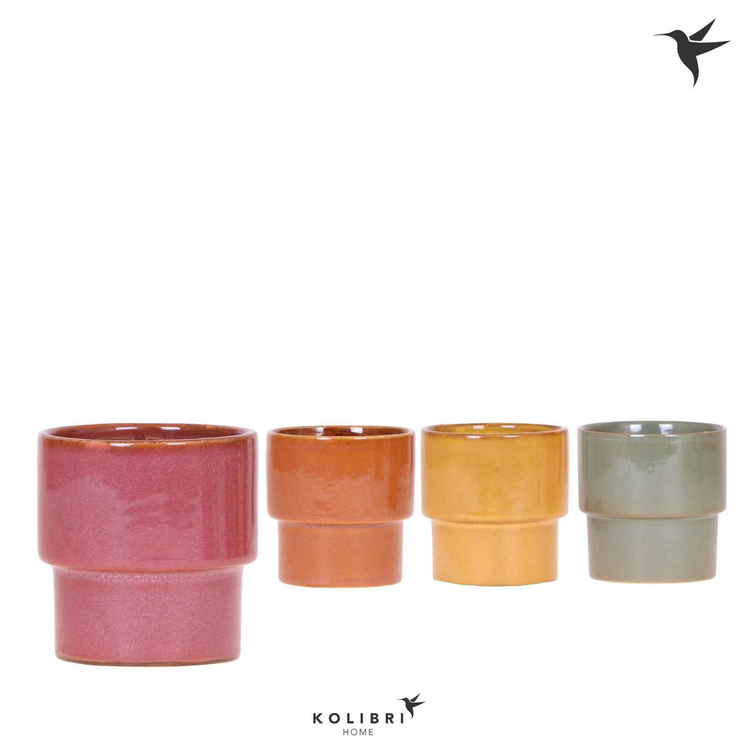 OK Plant Kolibri Home Timeless pot mix Pack of 8