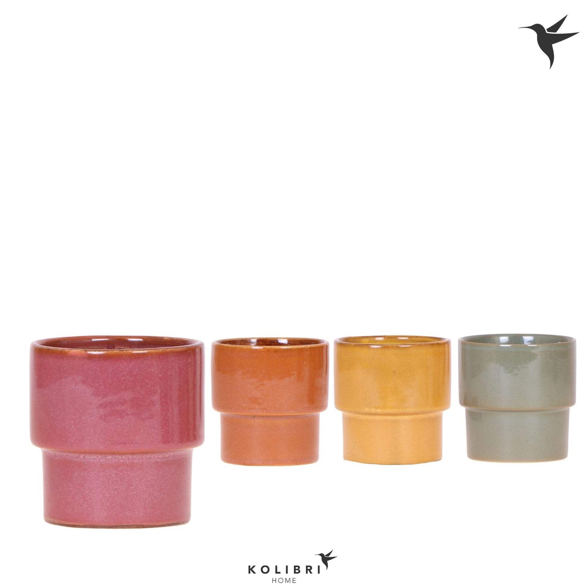 OK Plant Kolibri Home Timeless pot mix Pack of 8