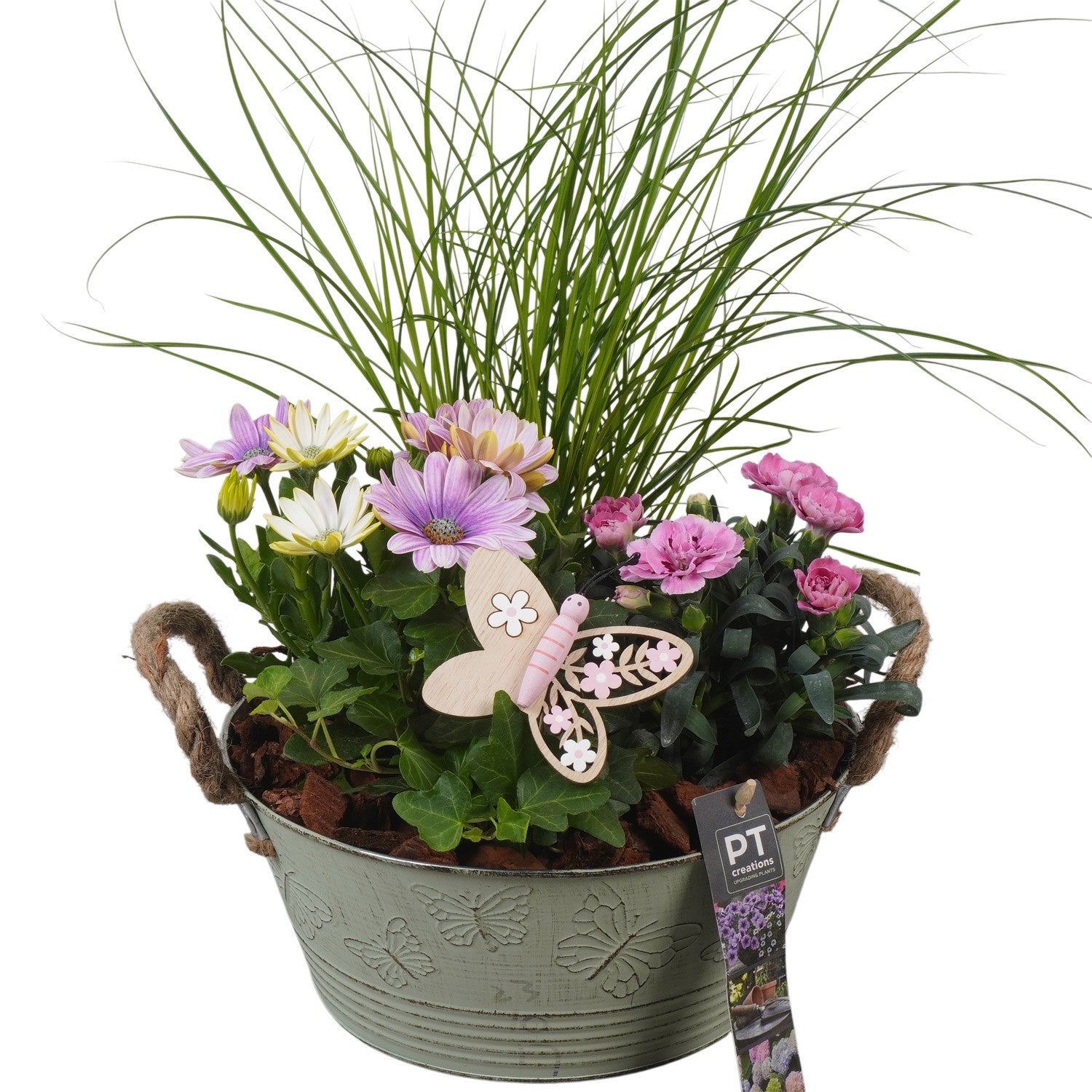 Outdoor arrangement 42cm 23cm Pot