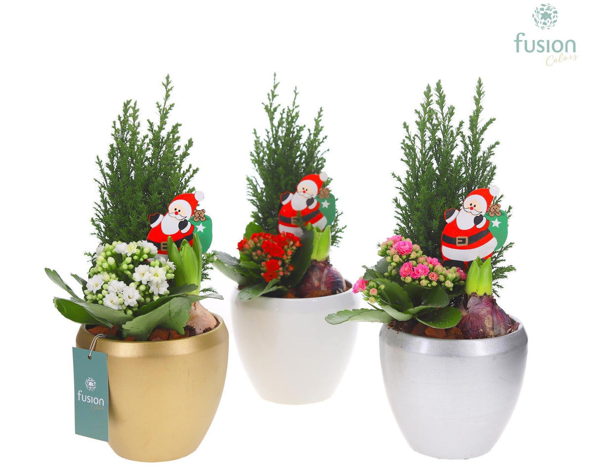Keramiek pot Lisanne met arrangement kerst 3pp 35cm 15cm Pot