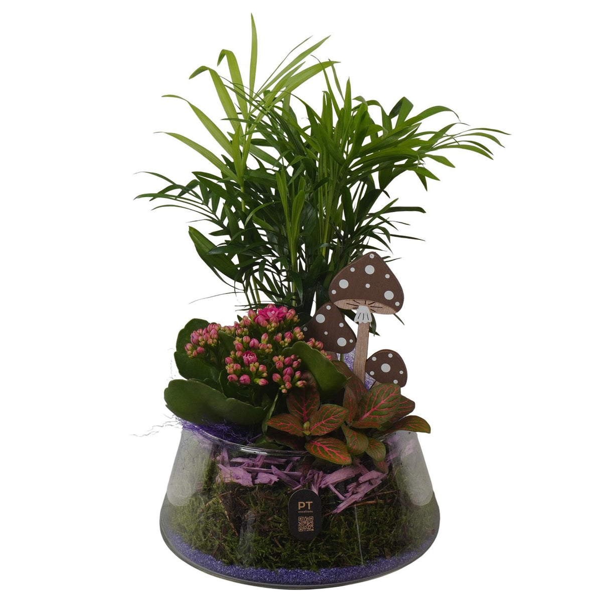 Indoor arrangement 33cm 18cm Pot