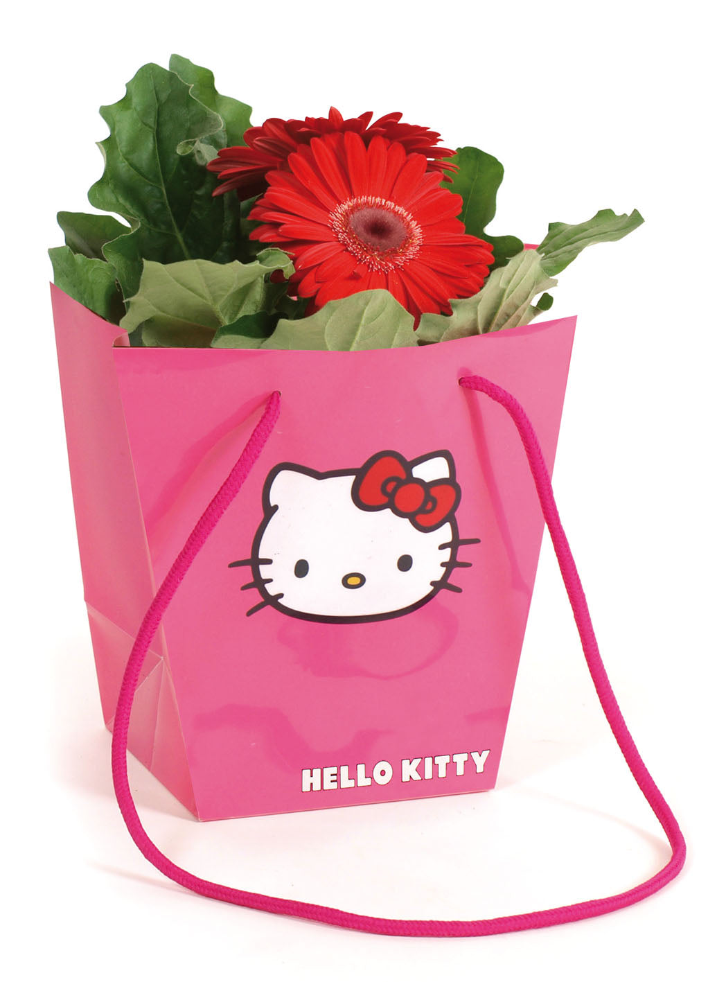 Gerbera mix 22cm 12cm Pot